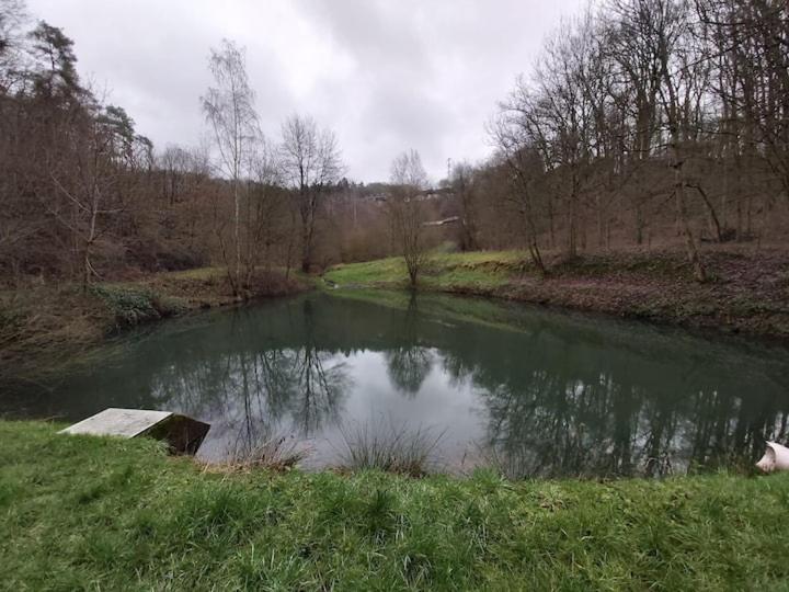 Chalet Ardennais 240 - La Boverie - ロンドゥー エクステリア 写真